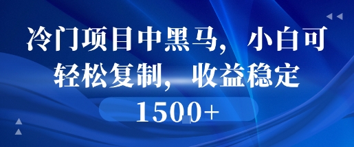 冷门项目中黑马，小白可轻松复制，收益稳定1.5k-众创项目基地