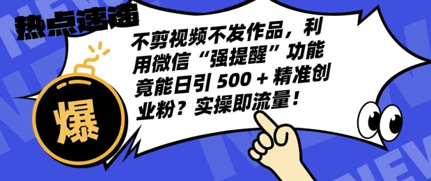 不剪视频不发作品，视频号私信日引 500 + 精准创业粉?实操即流量!-众创项目基地