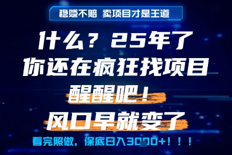 什么？25年你还在疯狂找项目做，醒醒吧，看完这些你全都懂了！【揭秘】-众创项目基地