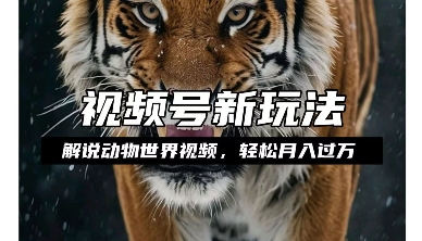 利用动物世界解说视频，赚分成计划收益，轻松月入过W，操作简单【揭秘】-众创项目基地