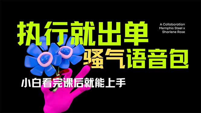 （14170期）爆火全网的开车导航骚气语音包,只要执行就出单，小白看完课程就能实操…-众创项目基地