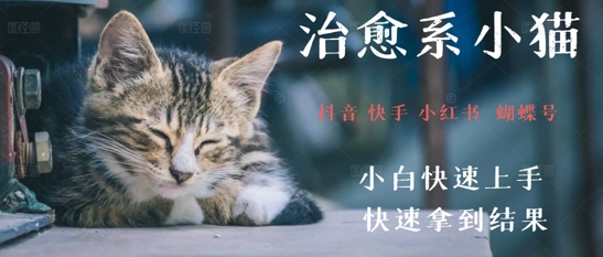 拆解，疯狂火爆！抖音，小红书，视频号小猫治愈的视频，轻松制作+快速拿到结果-众创项目基地