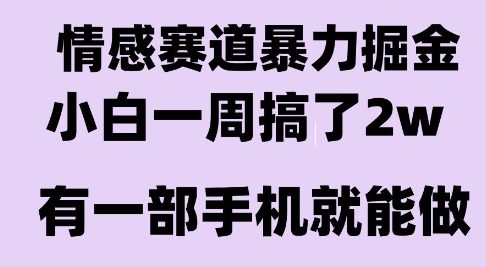 情感暴力掘金项目，新人操作一周挣了2W，长期稳定小白可做【揭秘】-众创项目基地