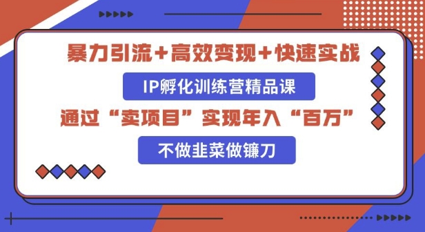 知识付费独家玩法：精准引流+高效变现，简单复制成功模式，最新IP共创导师训练营玩法-众创项目基地