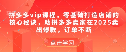 拼多多vip课程，零基础打造店铺的核心秘诀，助拼多多卖家在2025卖出爆款，订单不断-众创项目基地