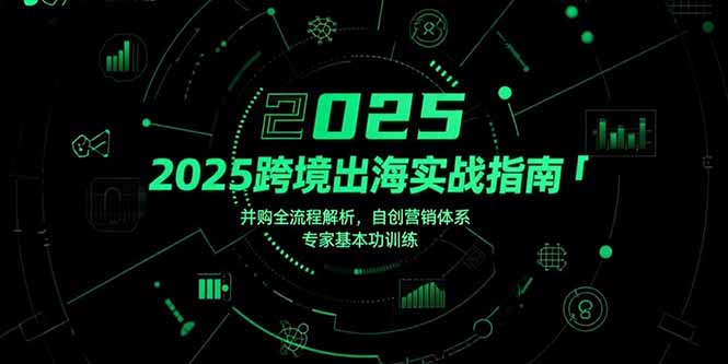 （15503期）2025跨境出海实战指南，并购全流程解析，自创营销体系，专家基本功训练-众创项目基地