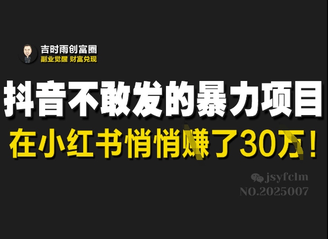 抖音不敢发的暴利项目，在小红书悄悄挣了30W-众创项目基地