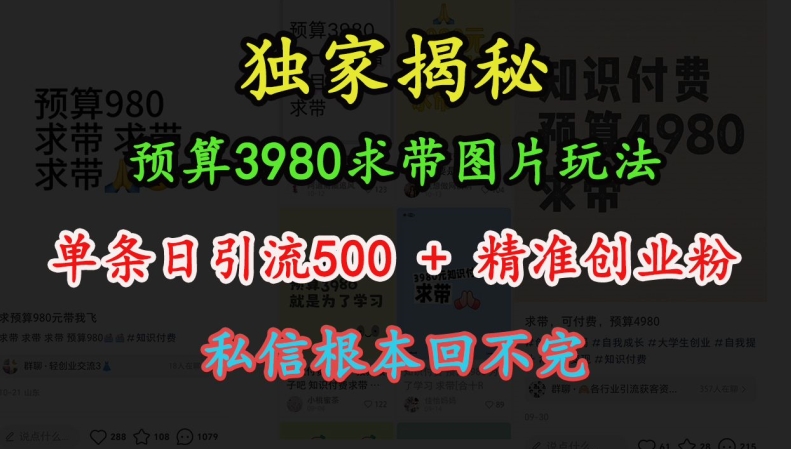 预算3980求带 图片玩法，单条日引流500+精准创业粉，私信根本回不完-众创项目基地