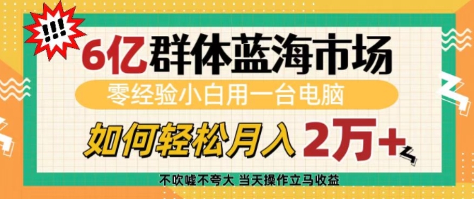6亿群体蓝海市场，零经验小白用一台电脑，如何轻松月入过w【揭秘】-众创项目基地