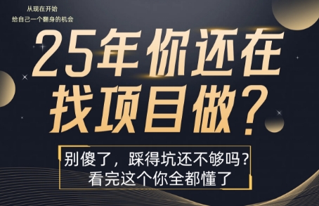 25年，你还在疯狂的找项目吗？别傻了，看完这个你都懂了【揭秘】-众创项目基地