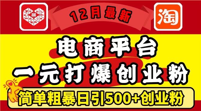 12月最新：电商平台1元打爆创业粉，简单粗暴日引500+精准创业粉，轻松月入过W【揭秘】-众创项目基地