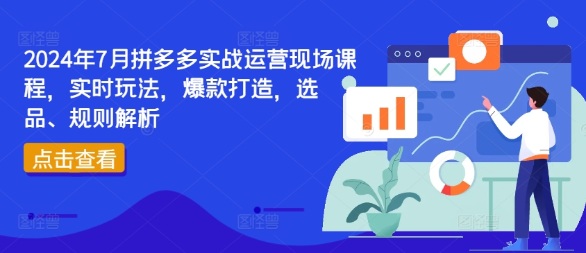 2024年7月拼多多实战运营现场课程，实时玩法，爆款打造，选品、规则解析-众创项目基地