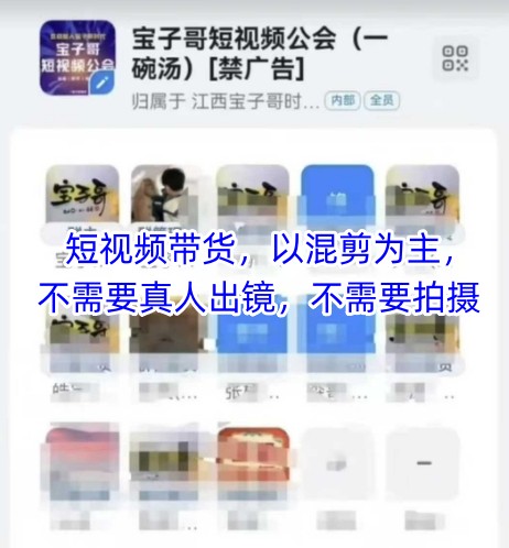 宝子哥头部团队短视频带货，以混剪为主，不需要真人出镜，不需要拍摄-众创项目基地