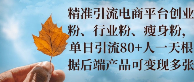 小投资撬动大收益，精准引流创业粉、行业粉，单日引流80+，一天可变现多张-众创项目基地